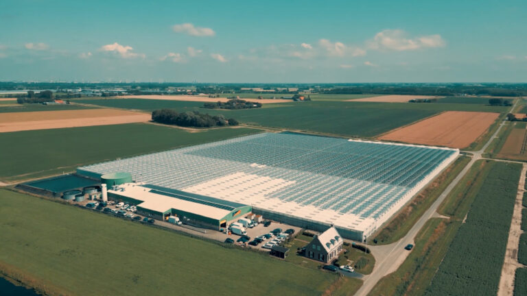 Aerial view of the CanAdelaar greenhouse complex in the Netherlands