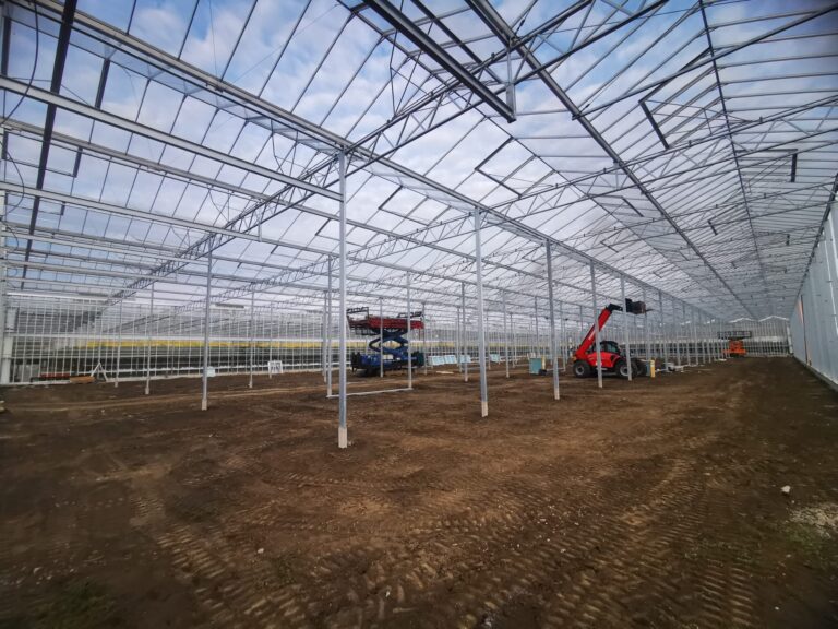 Steel structure of the third Petrodial greenhouse under construction in Romania