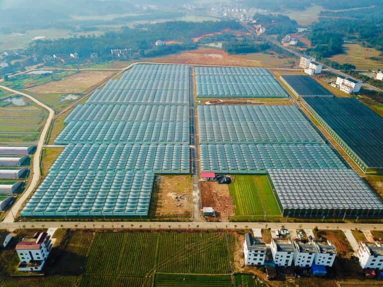 Aerial photograph of a large commercial greenhouse park in China