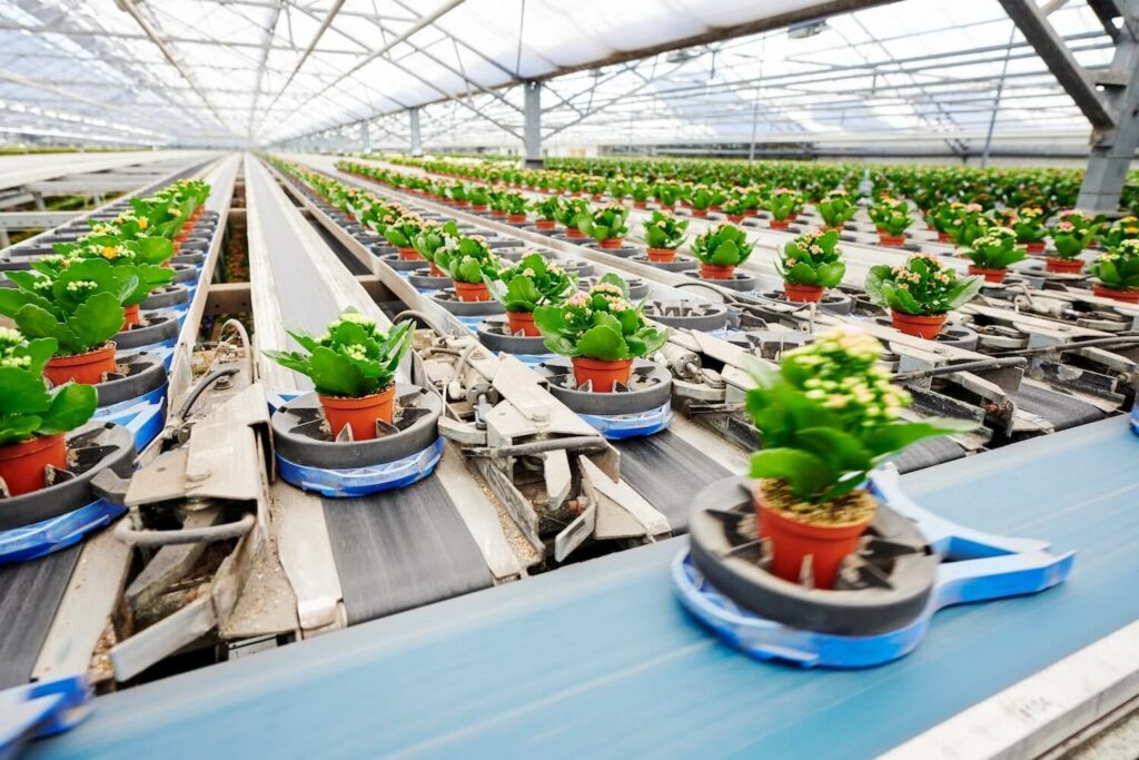Horticultural production technology from Dutch Greenhouse Delta