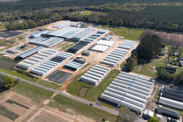 Aerial view of Emerald Coast Growers greenhouse facilities in Florida