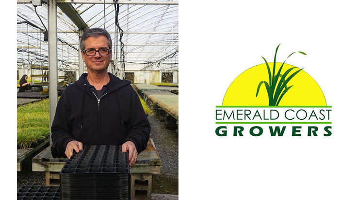 Emerald Coast Growers greenhouse production with plant trays