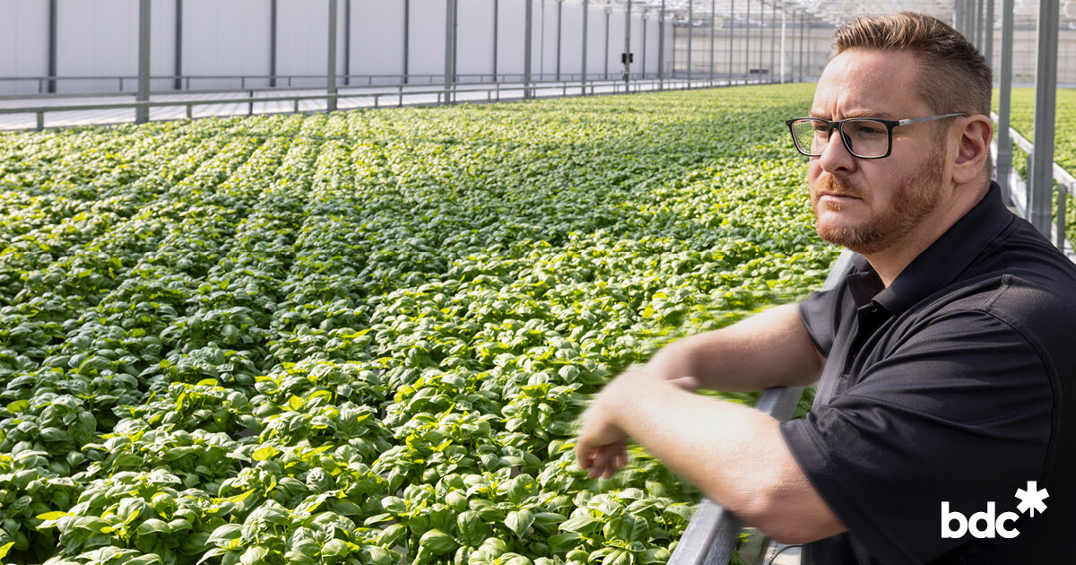 GOURMA president Charles Verdy inside the company's existing basil greenhouse