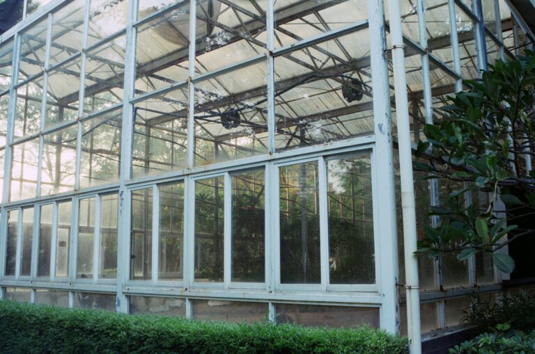 Exterior of a glass greenhouse