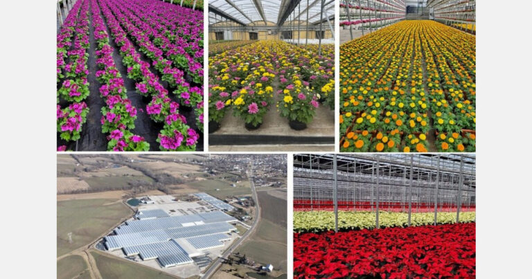 Collage of Heimos greenhouse ornamental crop production and greenhouse facilities