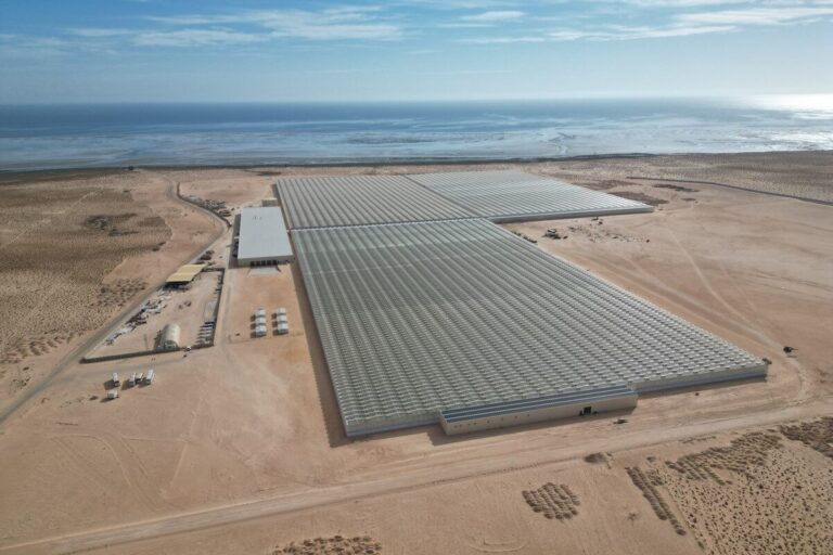 Aerial view of greenhouse construction at Hicha Joy in Tunisia, photographed in 2023
