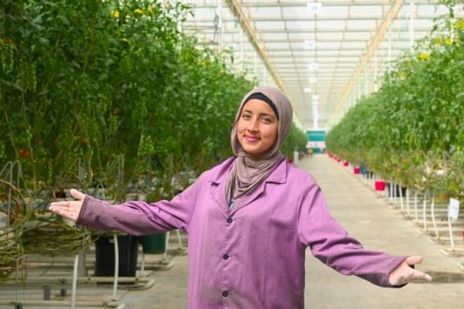 Greenhouse worker inside the Hicha Joy tomato project in Tunisia
