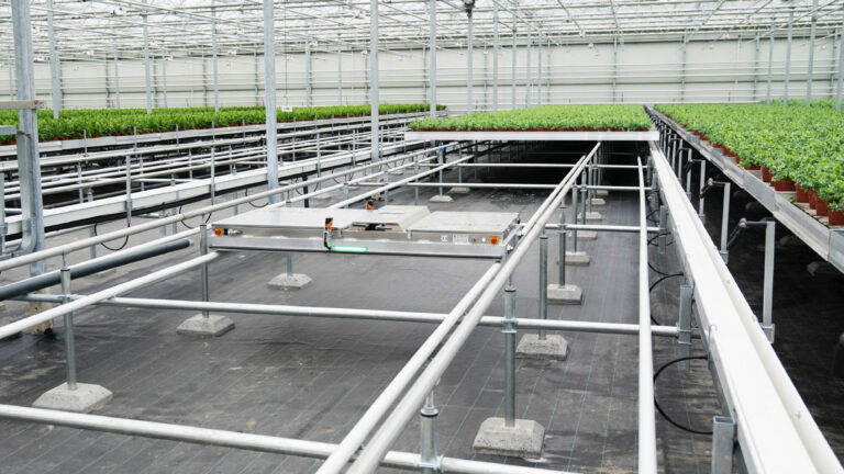An automated crop tray transport system inside a commercial greenhouse