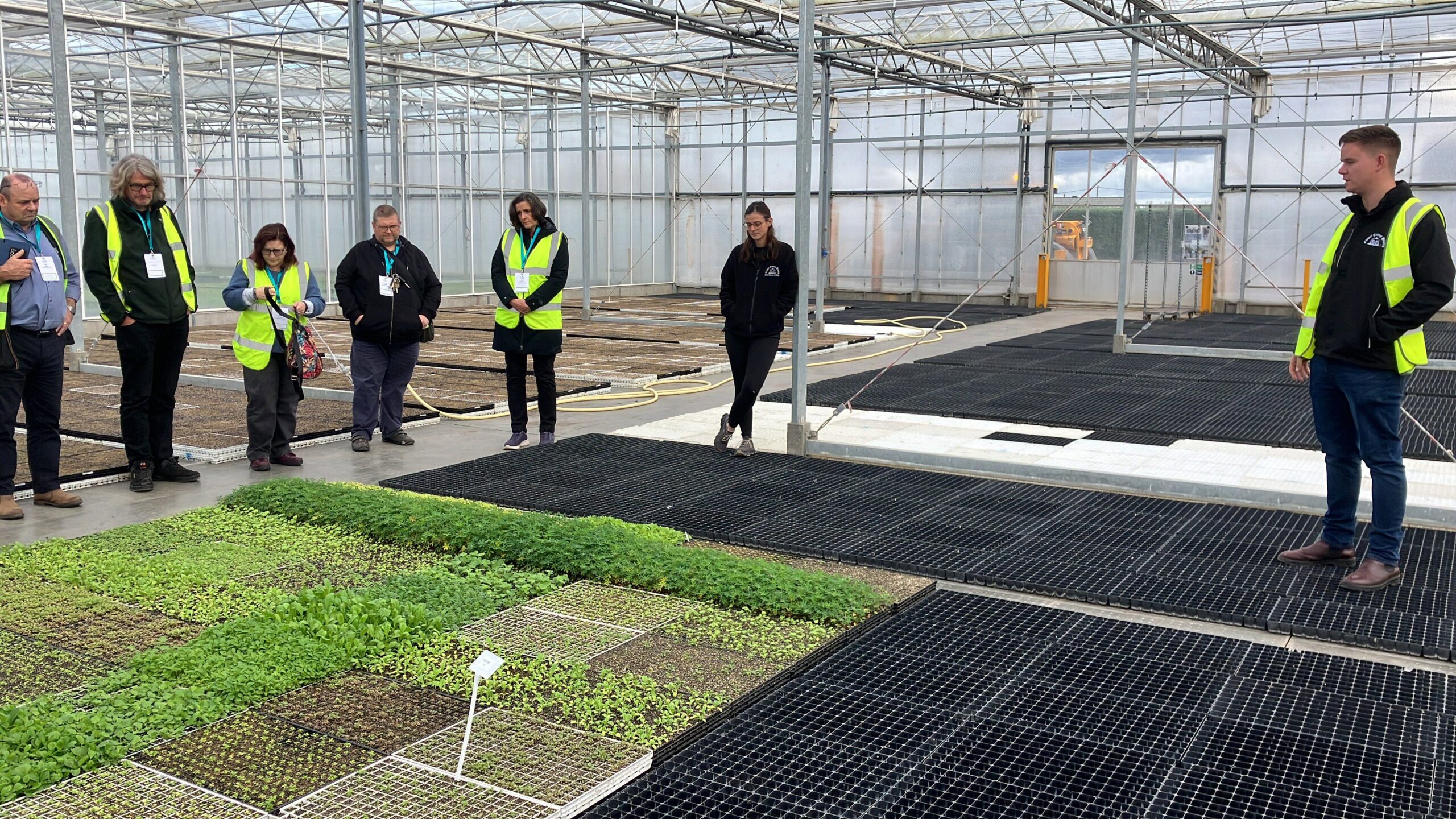 UK horticulture professionals in a greenhouse nursery workshop by propagation trays