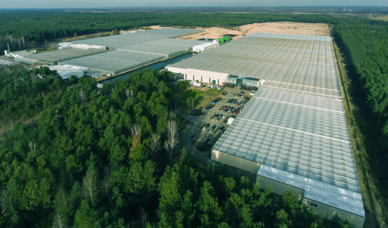 Aerial view of JMP Flowers commercial greenhouse complex in Stężyca, Poland