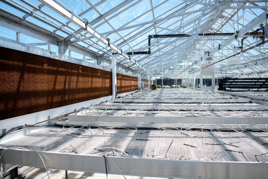 Interior of a previously renovated Michigan State plant science greenhouse with structural systems and benches