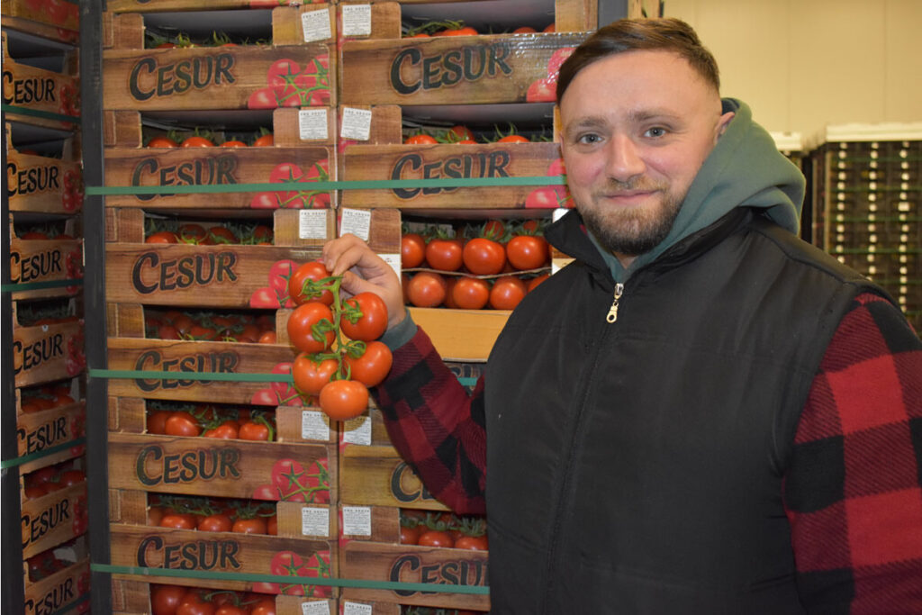 Naki Groothandel manager holding vine tomatoes at the company's Venlo wholesale operation