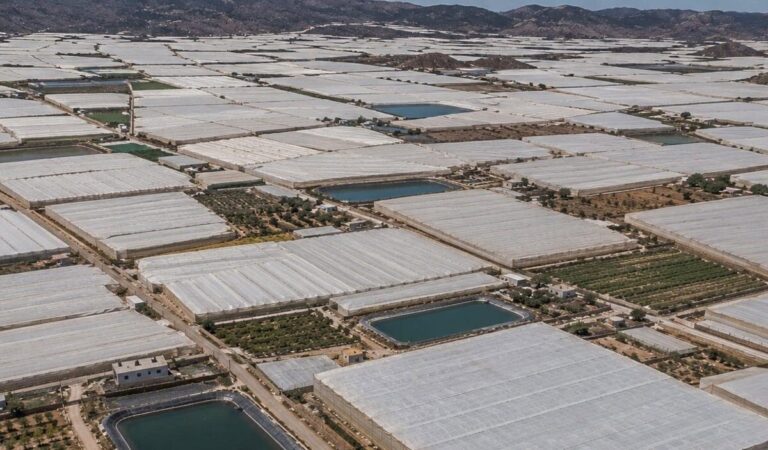 Aerial view of plastic-covered greenhouse farms and water reservoirs near Níjar, Almería