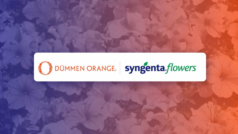 Official Syngenta Flowers and Dümmen Orange joint venture branding with floral imagery