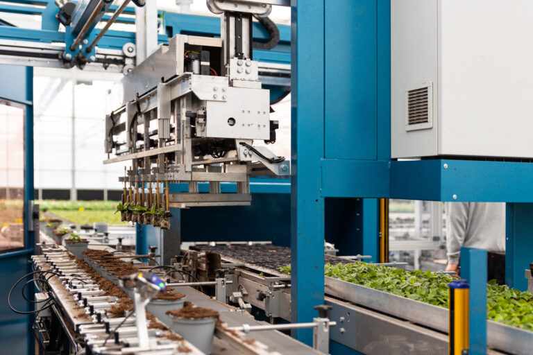 Automated nursery machinery and young plant growing trays in a production greenhouse
