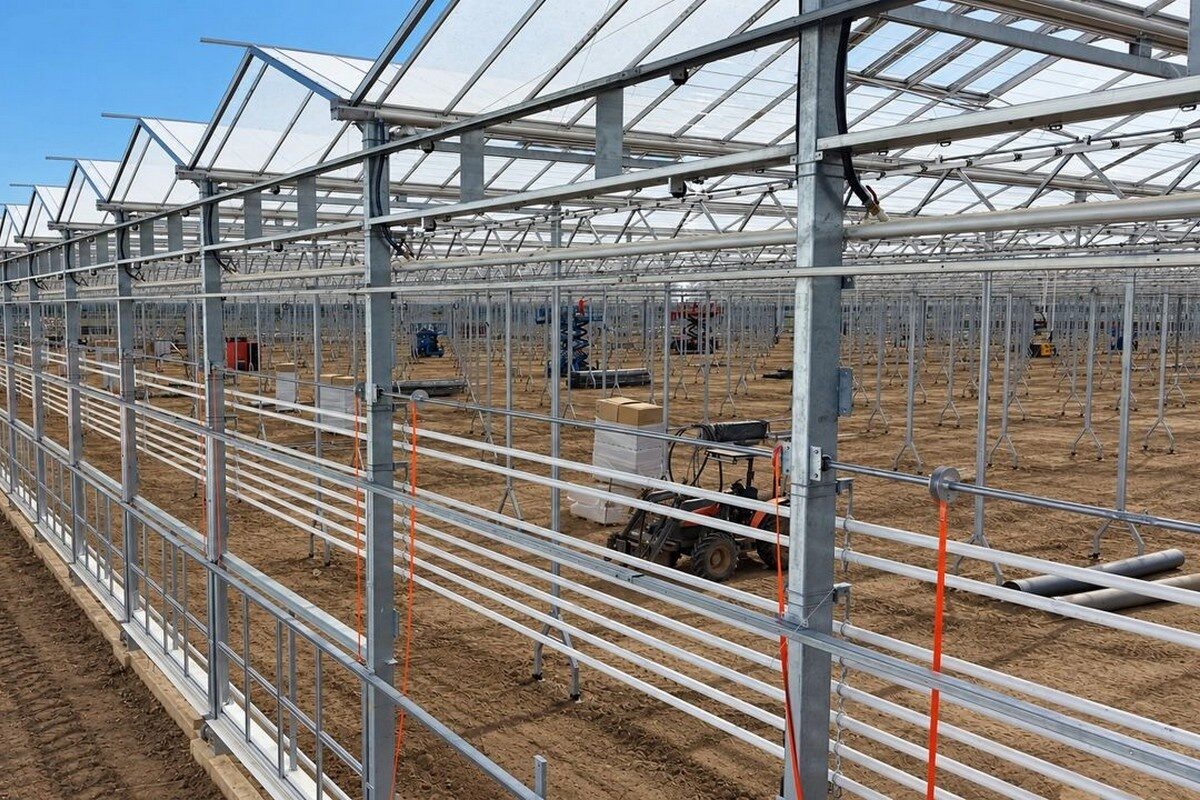 Interior construction view of the Vectr Fresh glasshouse in Oltenița, Romania