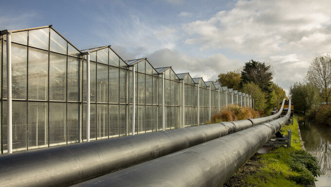 Insulated heat-network pipelines beside greenhouse buildings in Westland